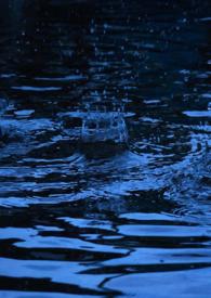 �����꣨���٣�